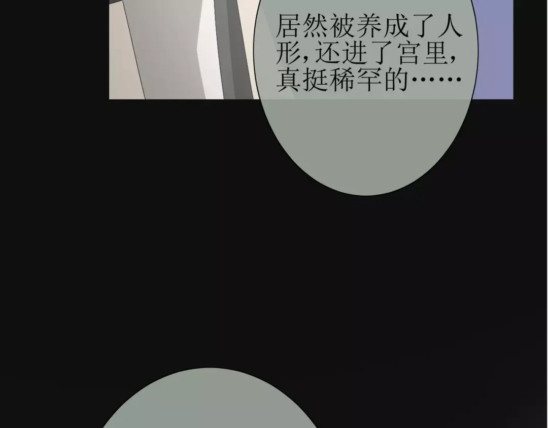《巫祝少女》第31话 朕的宿命 第164页