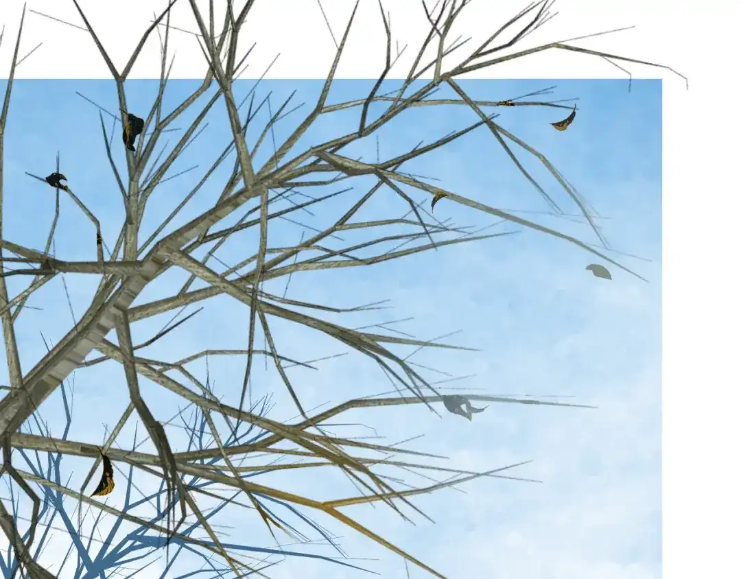 《巫祝少女》第87话 生辰 第30页
