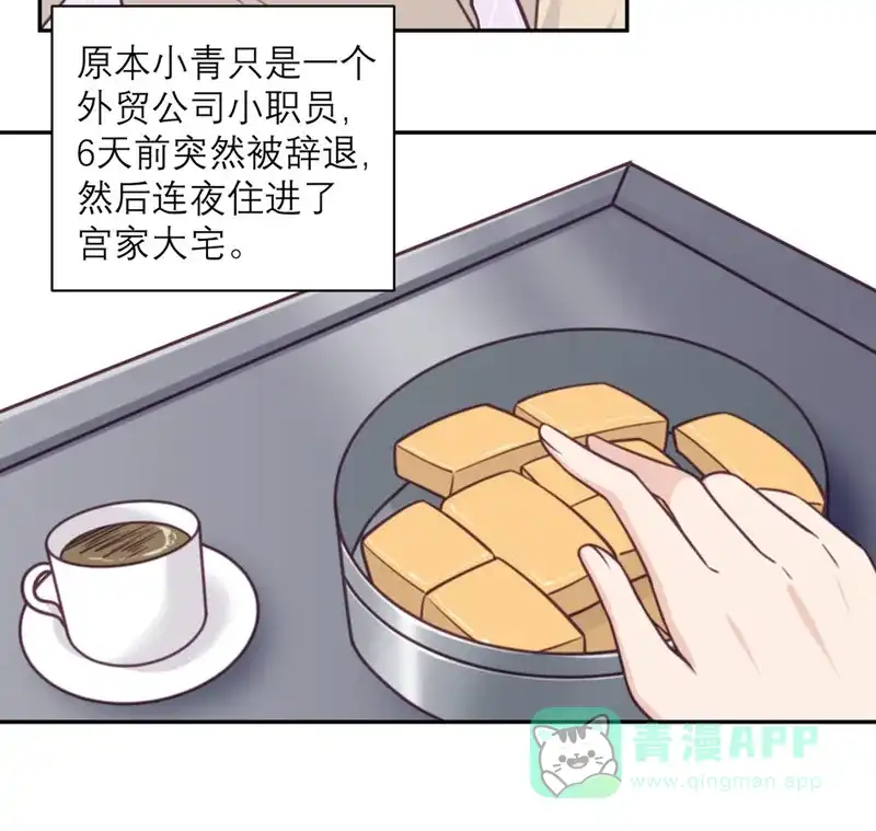 《向黑化总裁献上沙雕》[第36话] 暗子 第15页