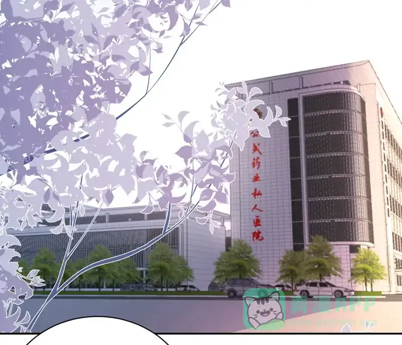 《向黑化总裁献上沙雕》[第39话] 各自的选择 第26页