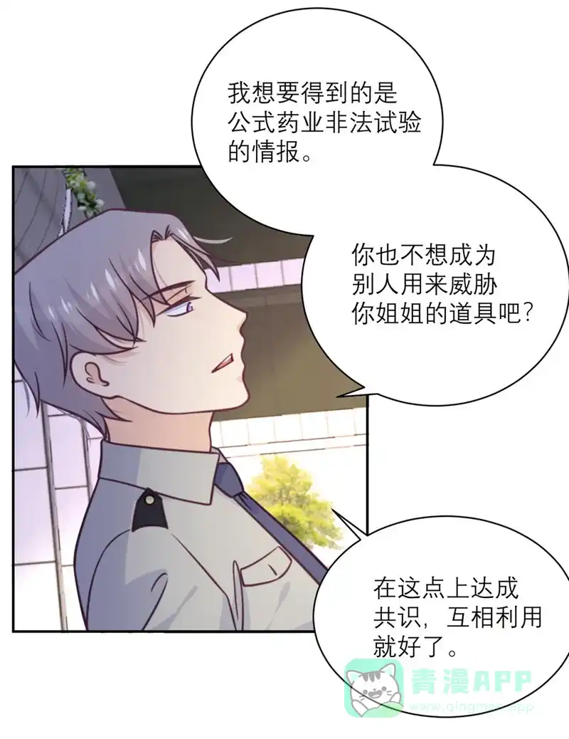 《向黑化总裁献上沙雕》[第39话] 各自的选择 第12页