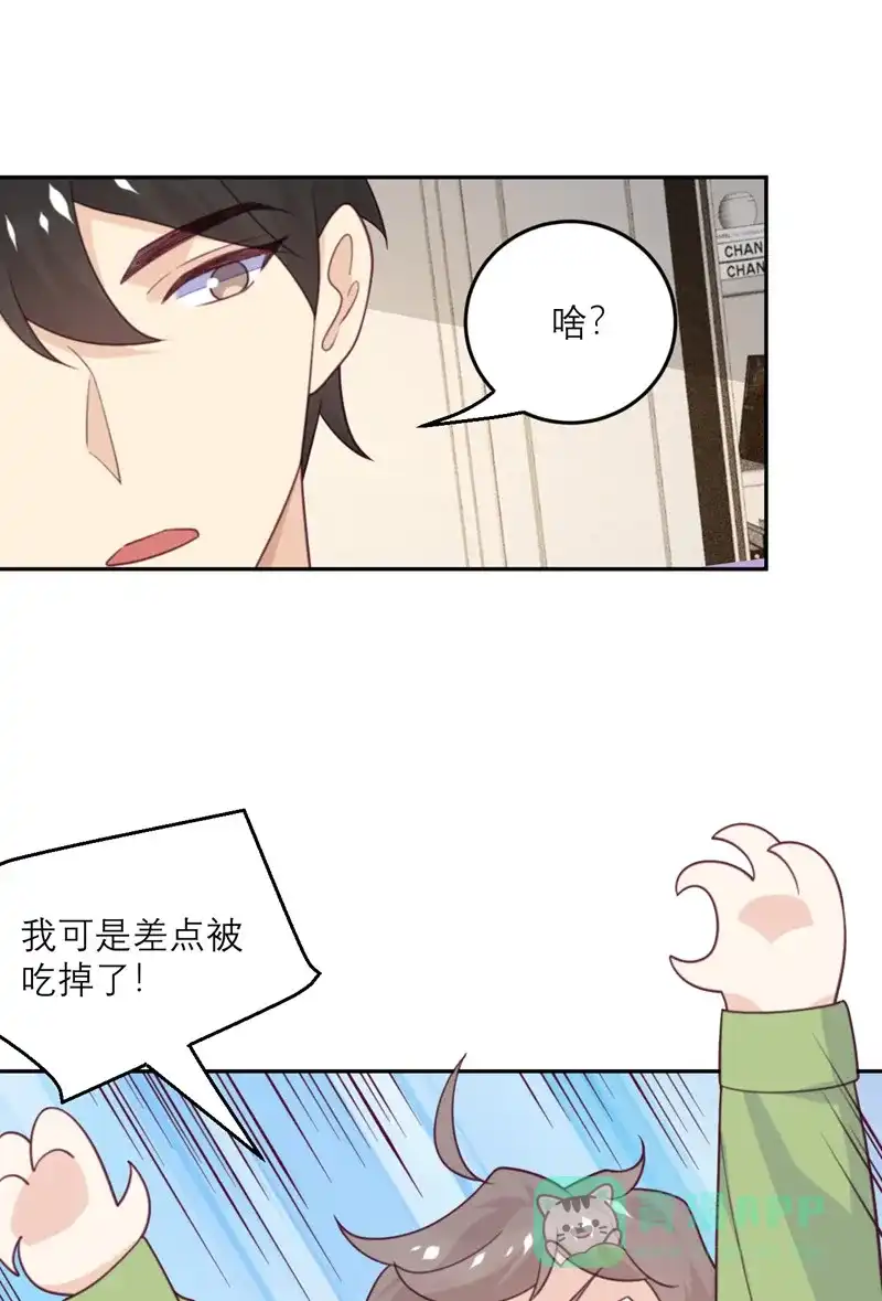 《向黑化总裁献上沙雕》[第84话] 市长的邀请 第8页