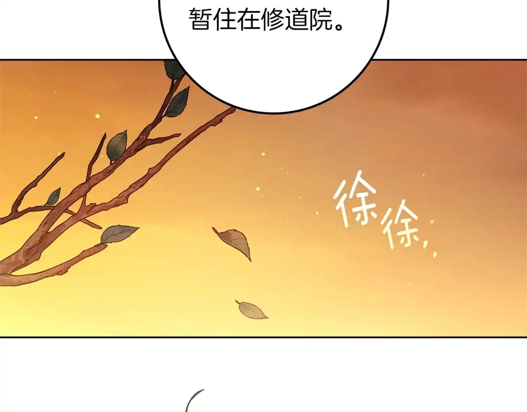 《橡树之下》第114话 欠人情？ 第205页