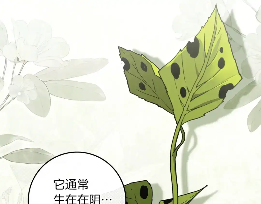 《橡树之下》第117话 止疫良方 第14页