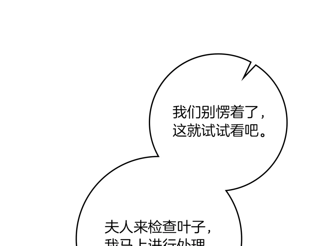 《橡树之下》第117话 止疫良方 第33页