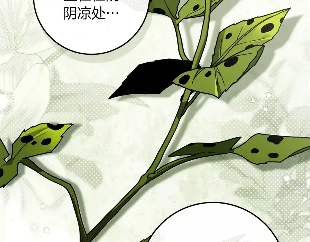 《橡树之下》第117话 止疫良方 第15页