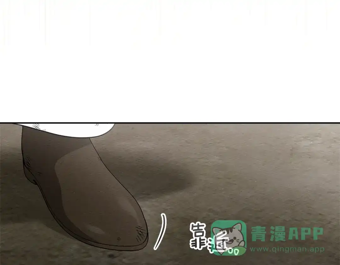 《橡树之下》第121话 战场之苦 第146页