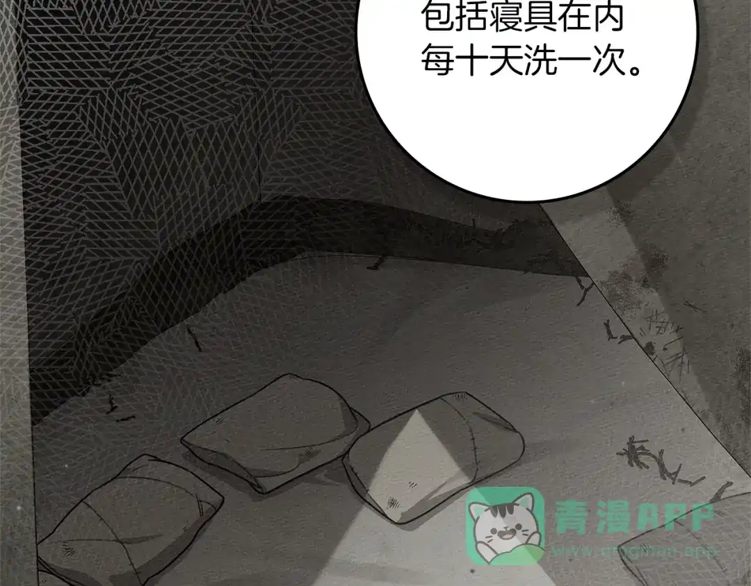 《橡树之下》第121话 战场之苦 第111页