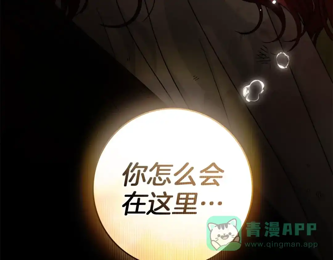 《橡树之下》第四季完结话 让我看看你的脸 第231页