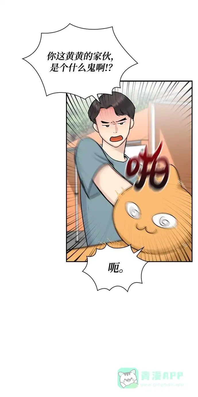 《先交往后恋爱》第36话 第54页