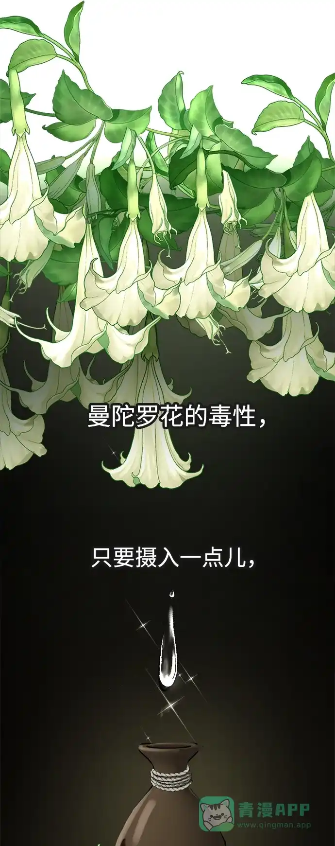 《暹罗头号美人》第13话 第28页