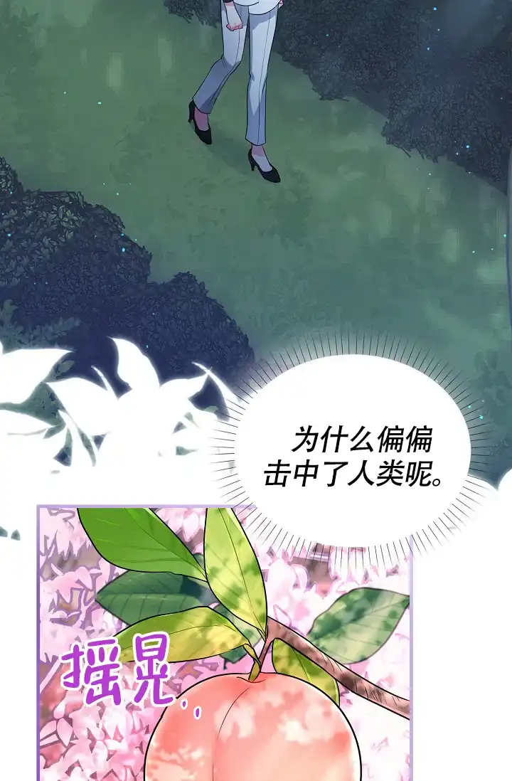 《仙桃奇遇记》第11话 第37页