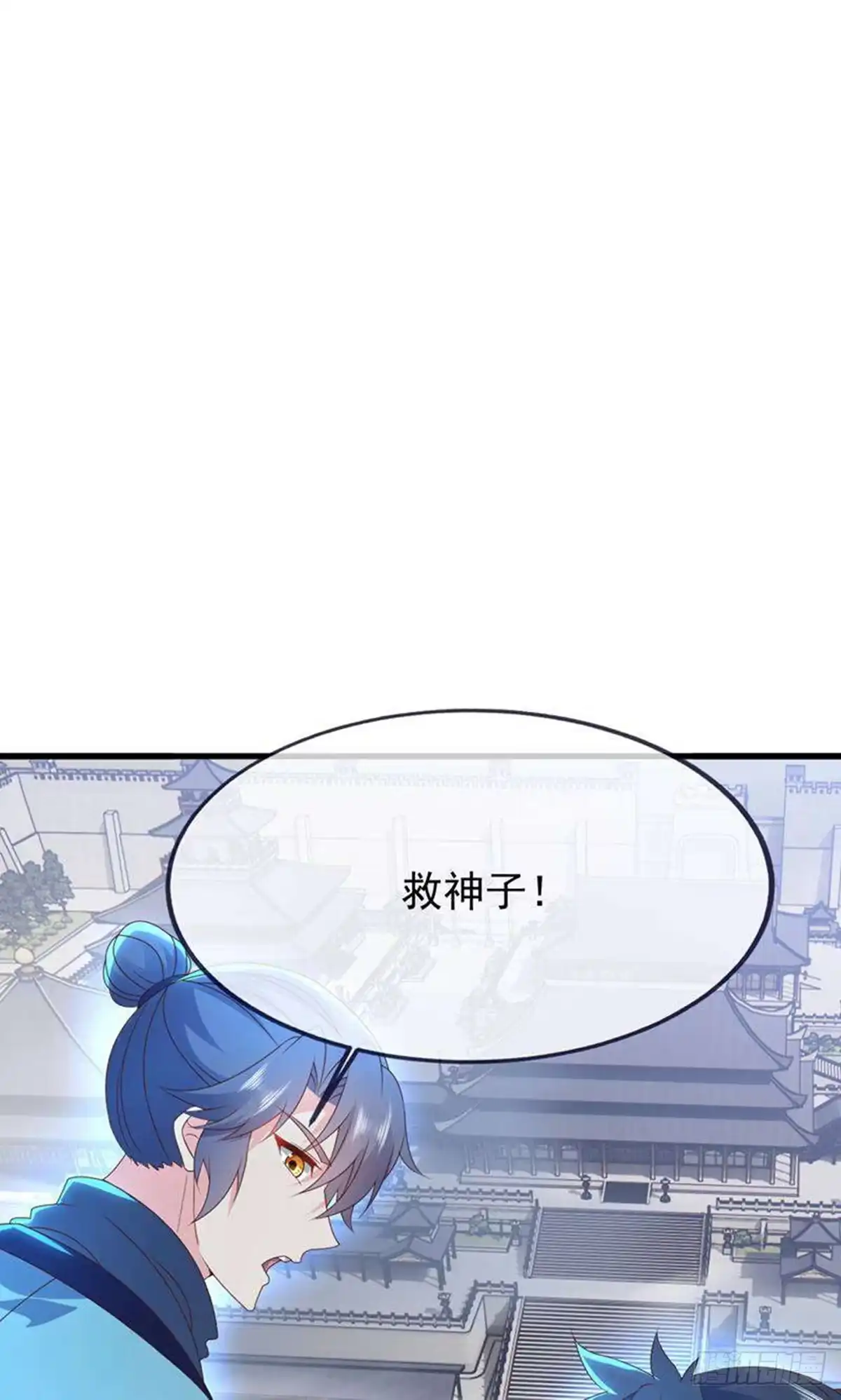 31.jpg