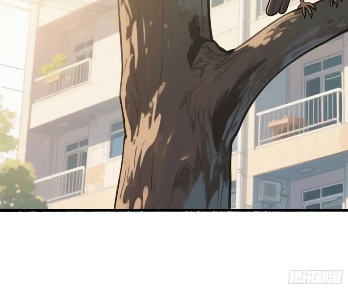 《消费返现：财富无限自由》10 路见不平 第9页