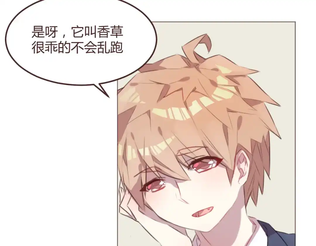 《消失恋人》第48话 杜柯的鼓励 第5页