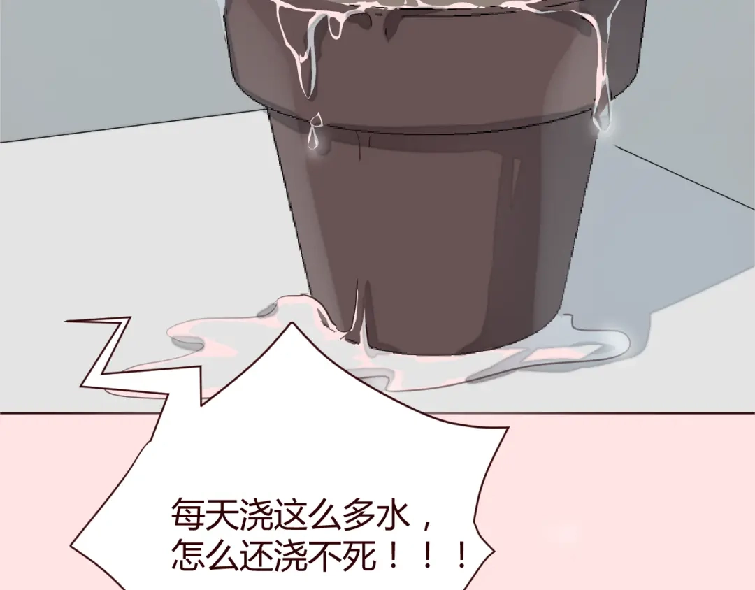 《消失恋人》新作《仙人掌男友》精彩上线！ 第19页