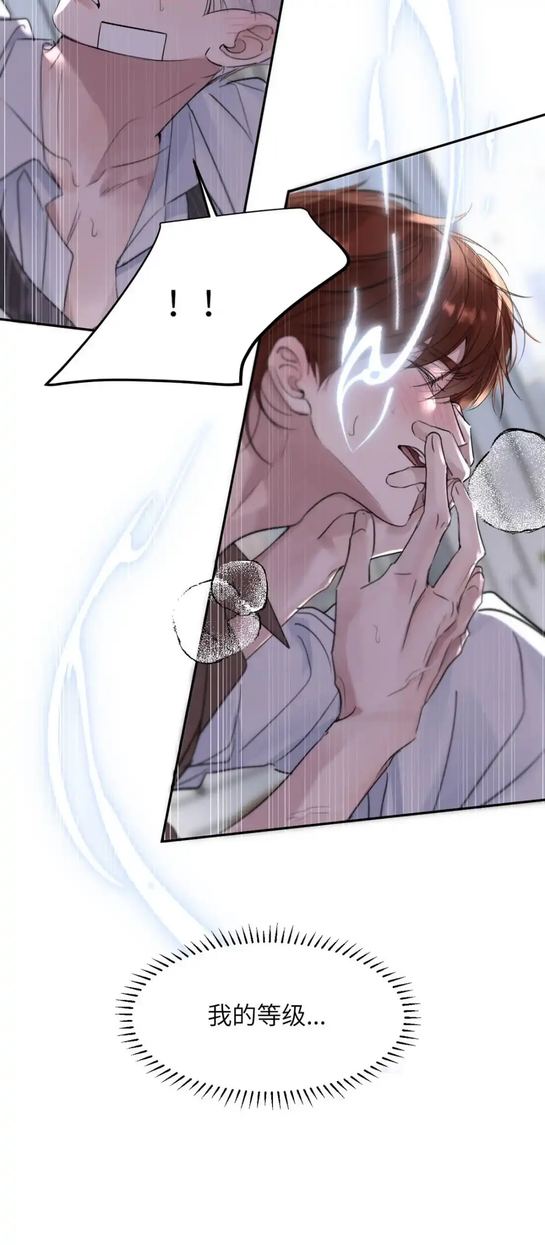 《小羊向导从不左右为难》045 维持S级的关键。 第11页