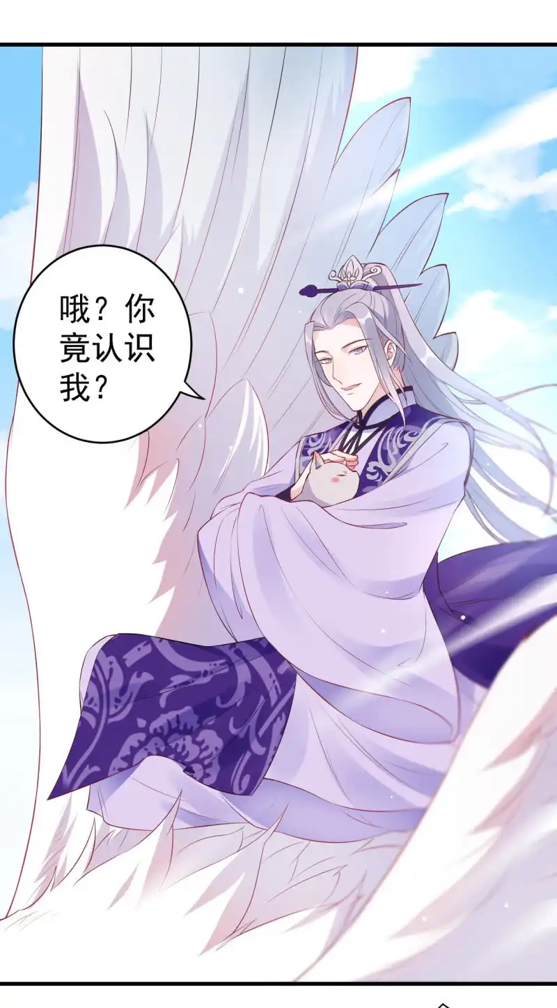 邪医狂妻 第94话 第7页