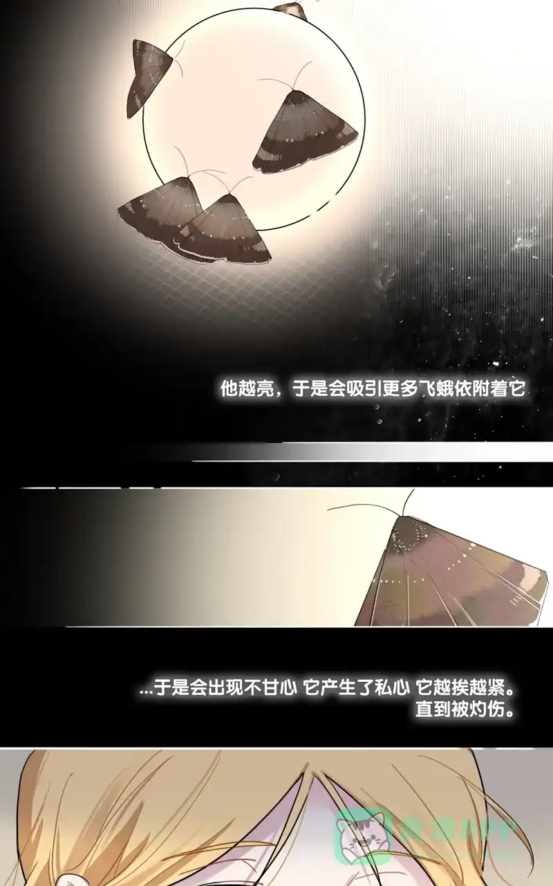 《喜欢也没用，没用也喜欢》第26话 第12页
