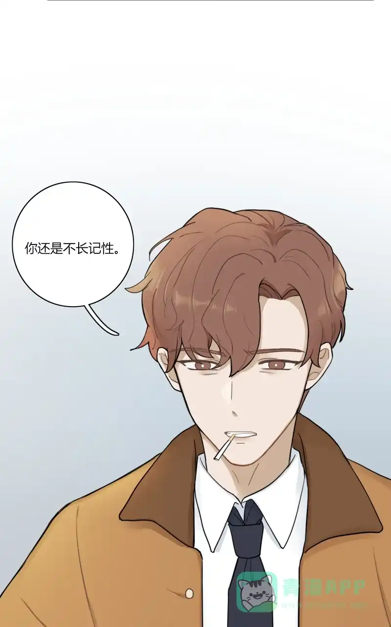 《喜欢也没用，没用也喜欢》第69话 第6页