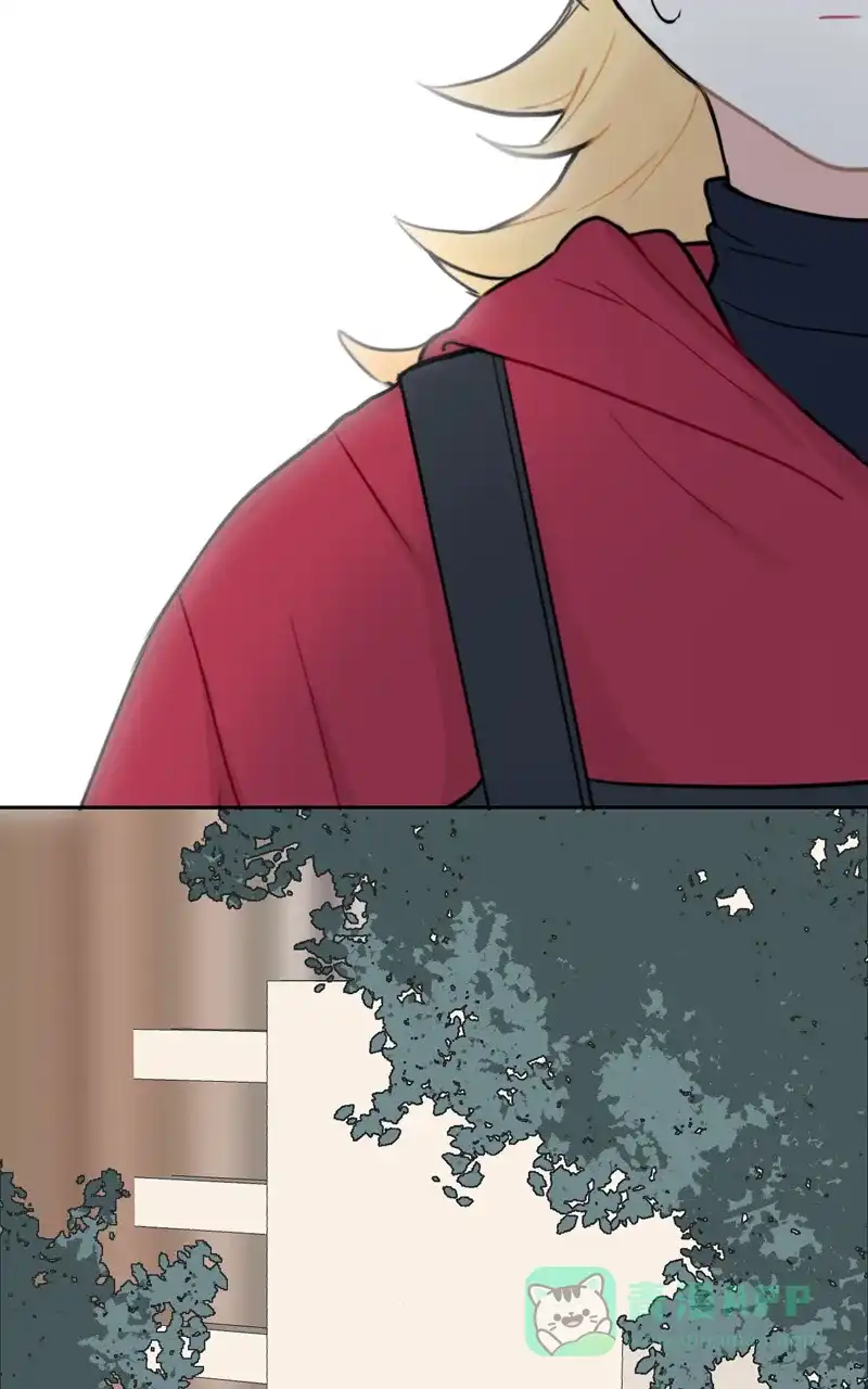 《喜欢也没用，没用也喜欢》第71话 第40页