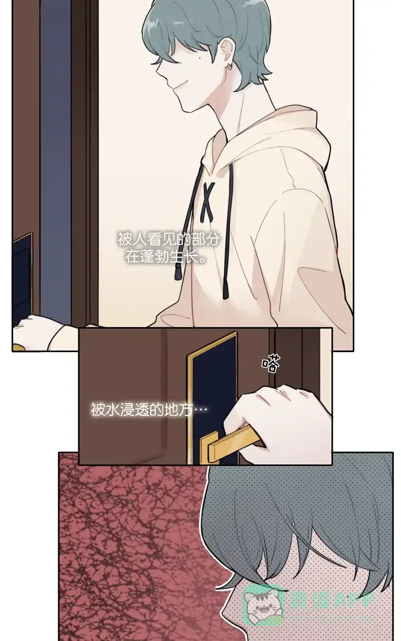 《喜欢也没用，没用也喜欢》第73话 第29页