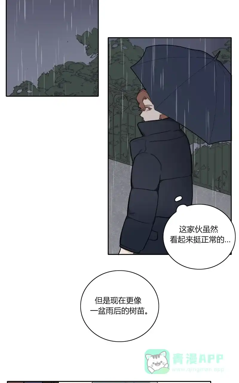 《喜欢也没用，没用也喜欢》第73话 第28页