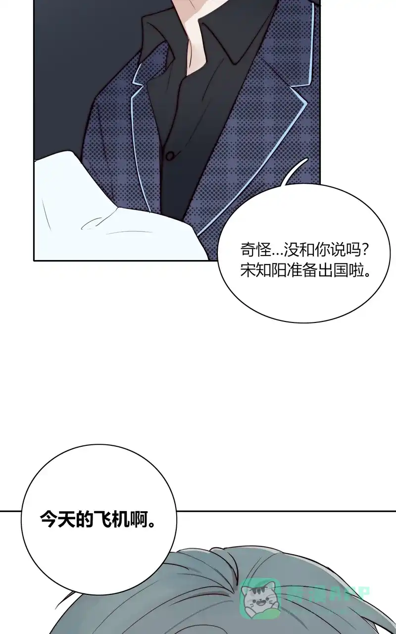 《喜欢也没用，没用也喜欢》第81话  第41页