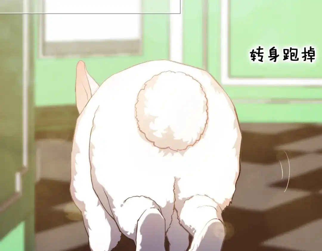 《心动计划》第87话 兔子般的她 第13页