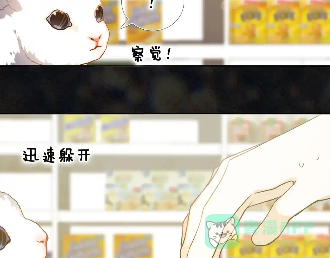 《心动计划》第87话 兔子般的她 第11页