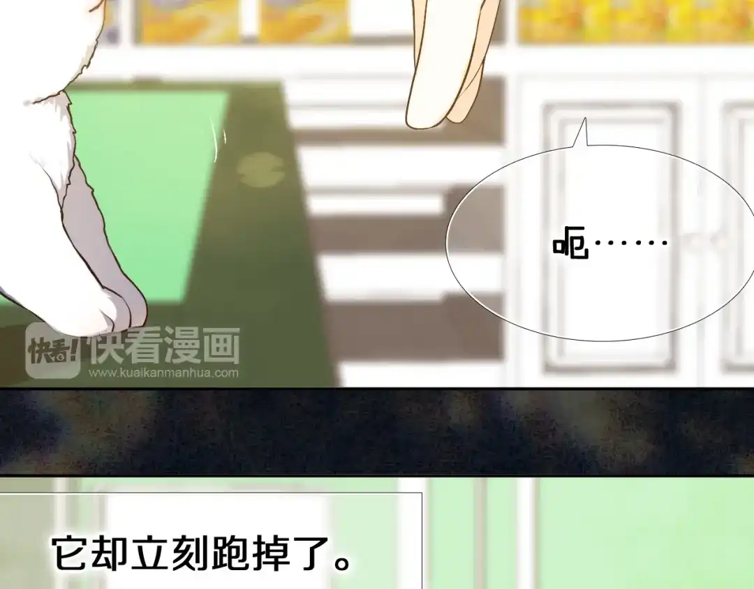 《心动计划》第87话 兔子般的她 第12页