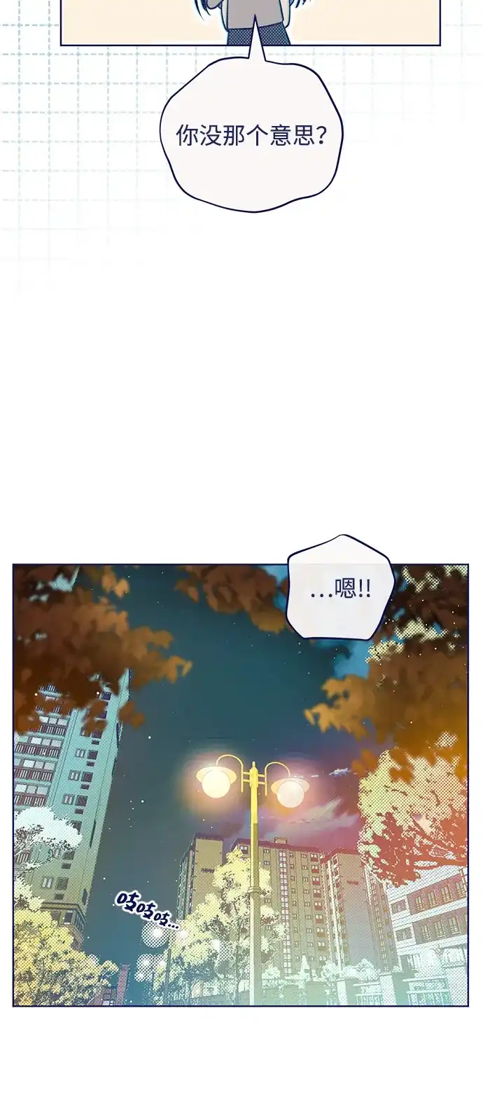 47.jpg