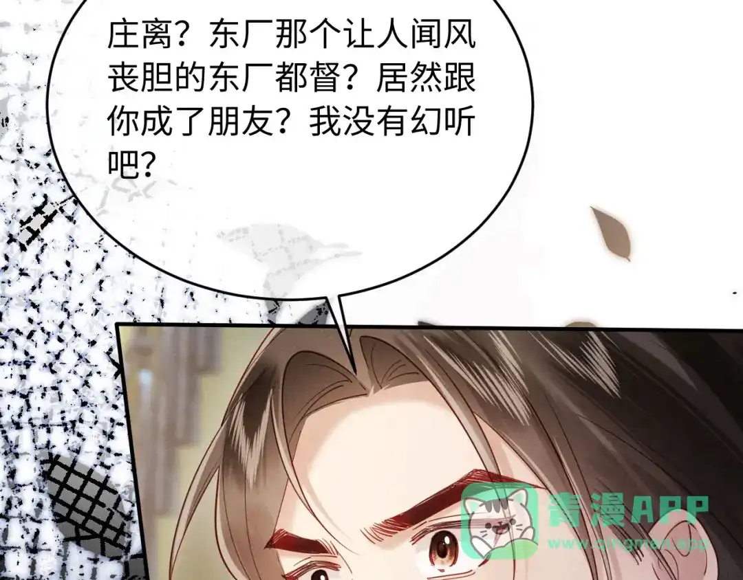 《新婚夜，我怀了督主的崽》第31话 哥哥出事了！ 第101页