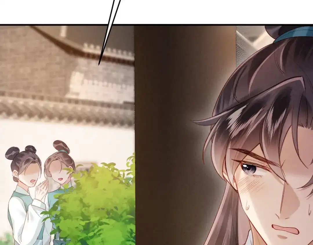 《新婚夜，我怀了督主的崽》第35话 总有恶犬上门 第40页