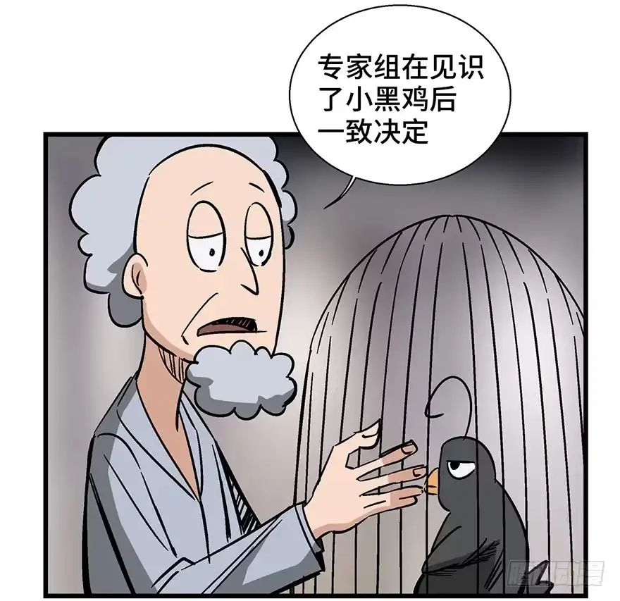 《心跳300秒》第一三八话·鸡王之王 第46页