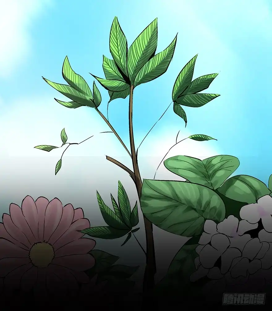 《心跳300秒》第一七零话·花开之时 第5页