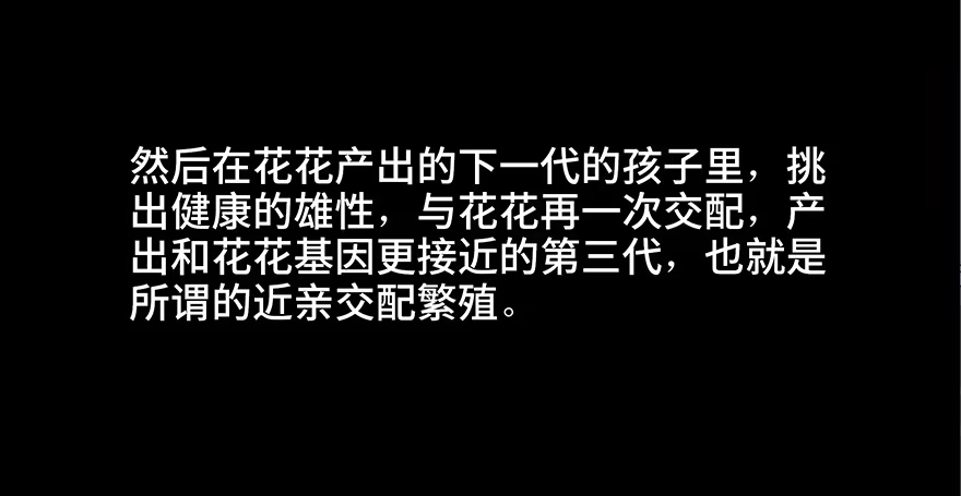 《心跳300秒》第三十话·宠物商 第51页