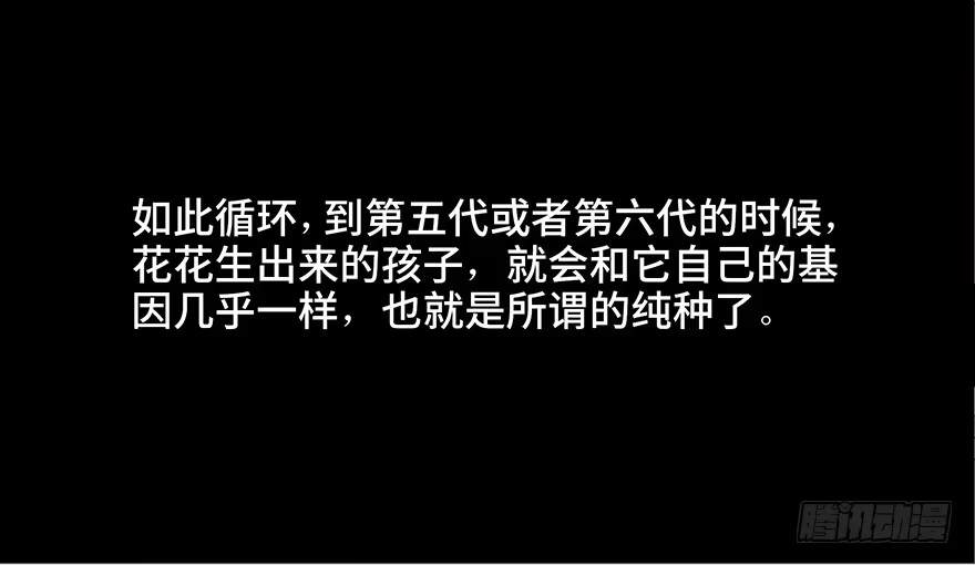 《心跳300秒》第三十话·宠物商 第53页