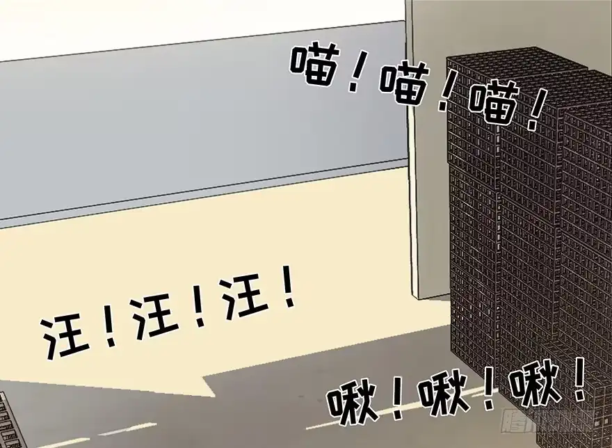 《心跳300秒》第三十话·宠物商 第23页
