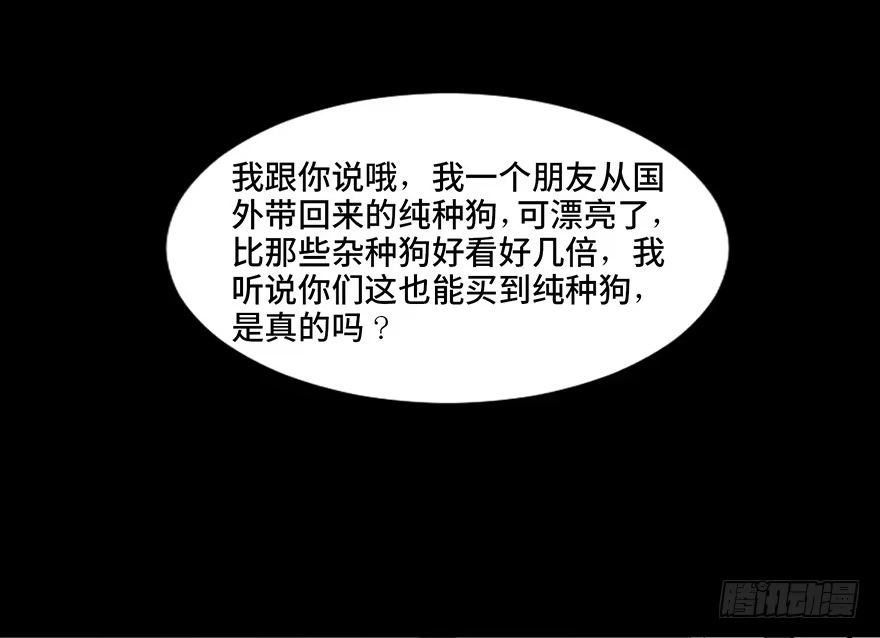 《心跳300秒》第三十话·宠物商 第2页