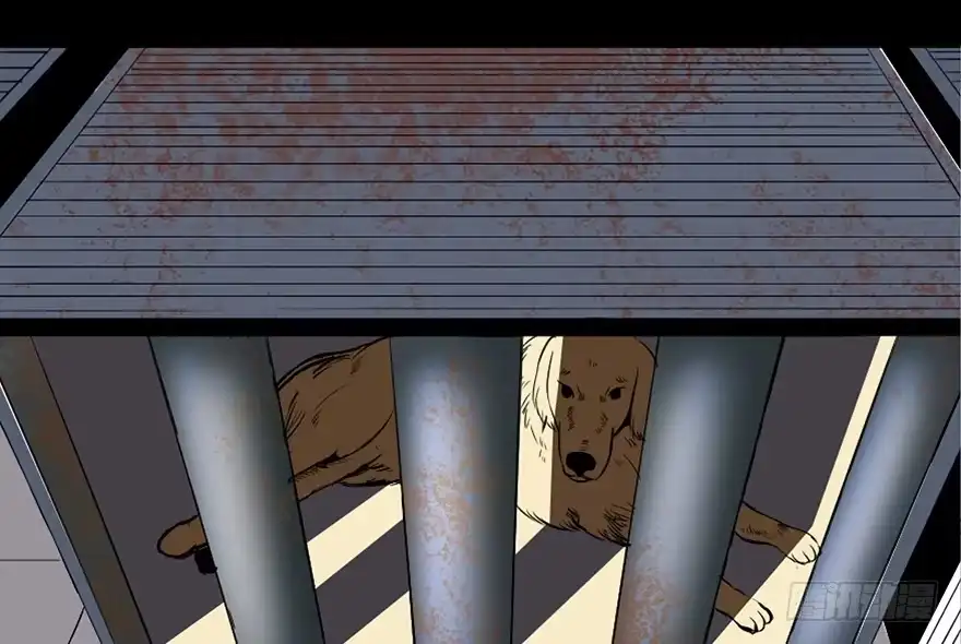《心跳300秒》第三十话·宠物商 第28页