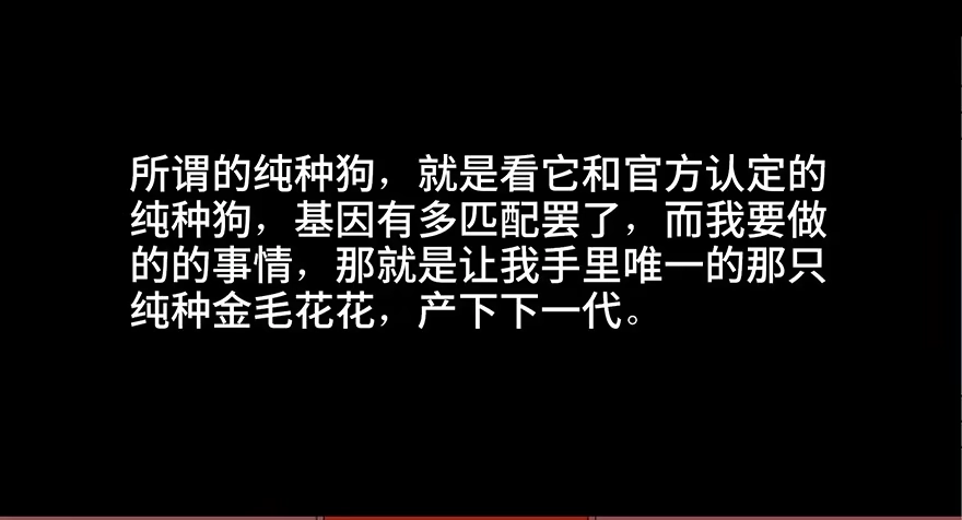 《心跳300秒》第三十话·宠物商 第49页