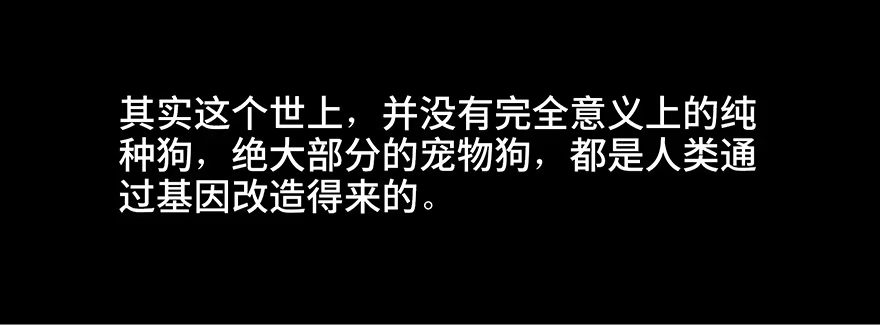 《心跳300秒》第三十话·宠物商 第47页