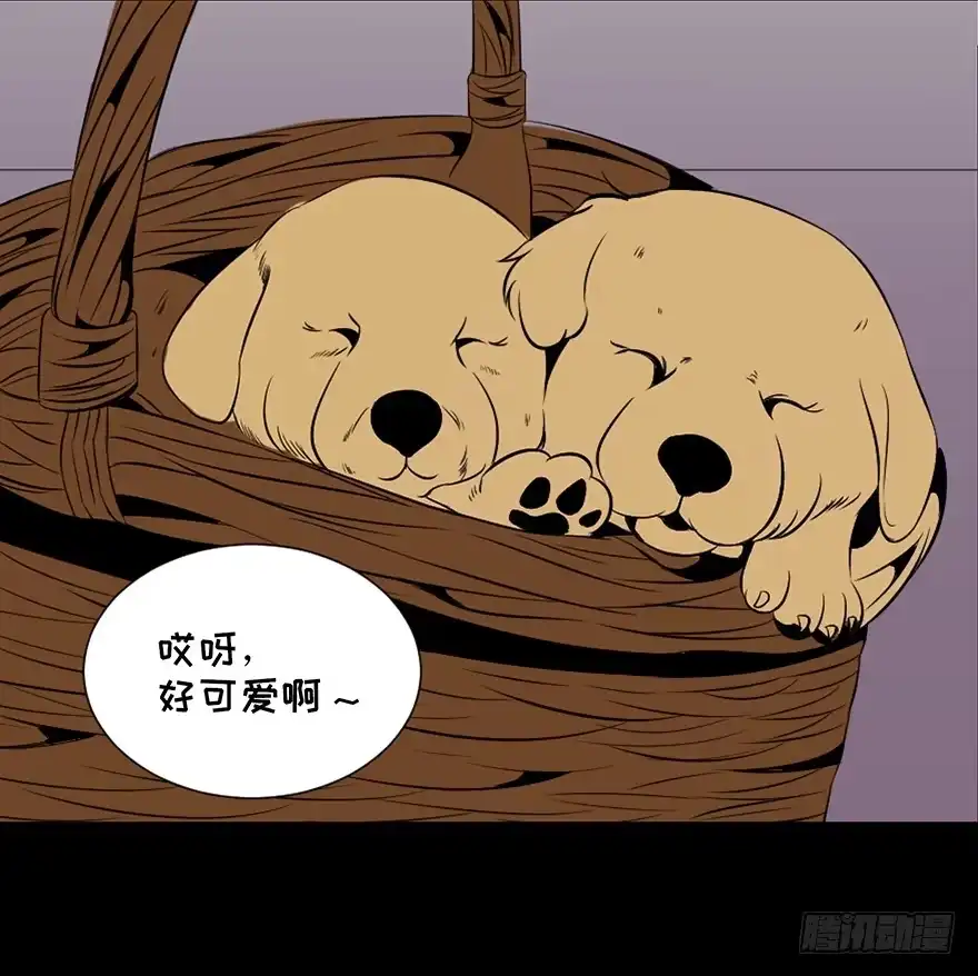 《心跳300秒》第三十话·宠物商 第62页