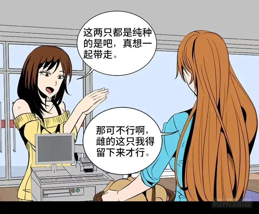 《心跳300秒》第三十话·宠物商 第63页