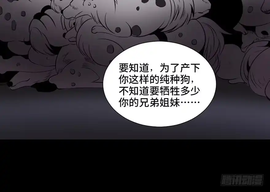 《心跳300秒》第三十话·宠物商 第75页