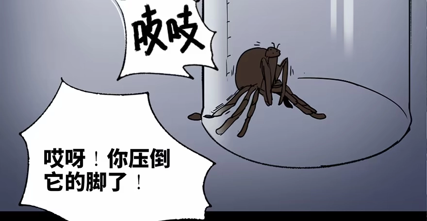 《心跳300秒》第三十四话·动物保护 第28页