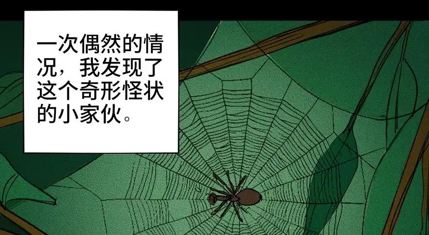 《心跳300秒》第三十四话·动物保护 第13页