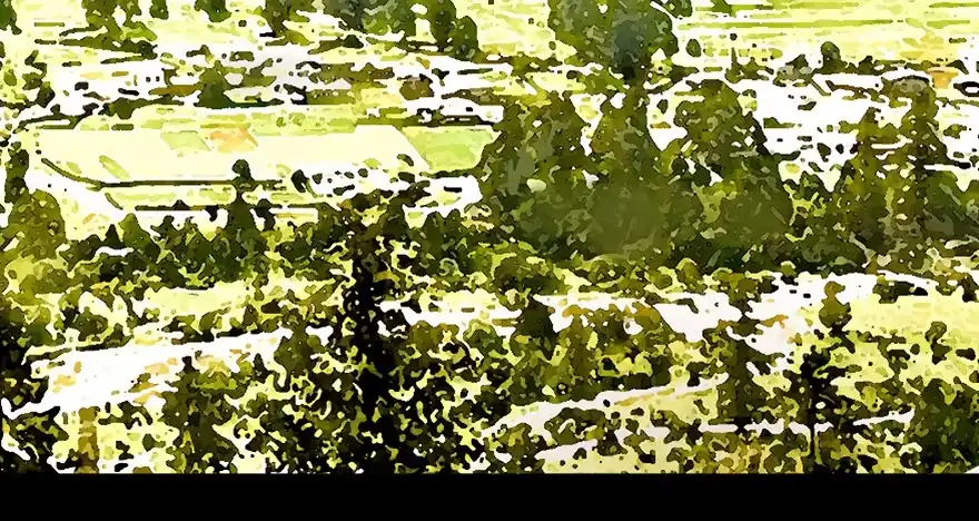 《心跳300秒》第三十五话·拐卖 第2页