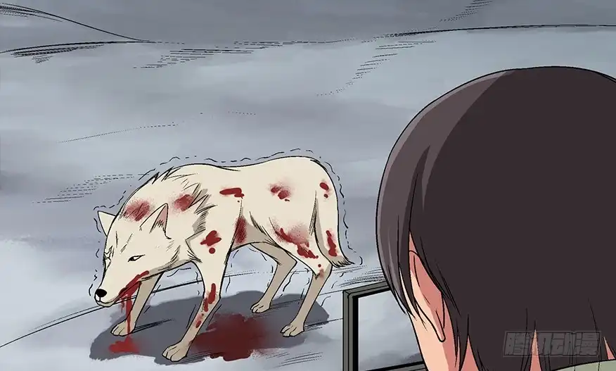 《心跳300秒》第九十七话·孤 狼 第48页